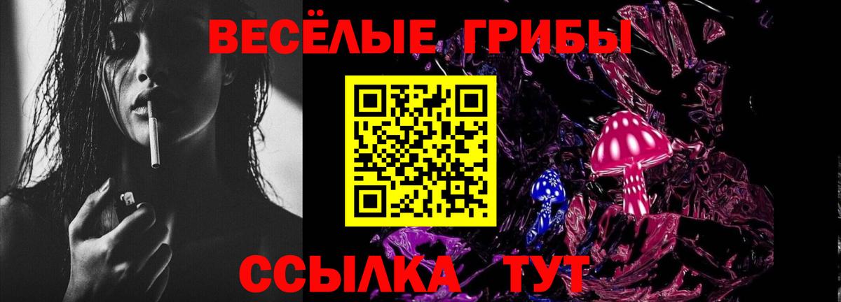 Псилоцибиновые грибы Cubensis Артёмовский
