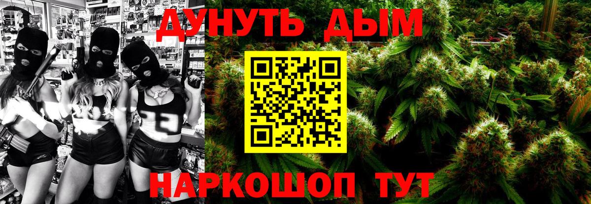 Каннабис план Артёмовский